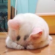 I think that "what i doing now"