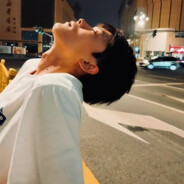 桃花庵里桃花仙