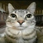 kittay