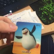 Твой господин