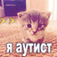 123123 Image