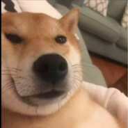 我叫老鱼