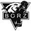 Borz93