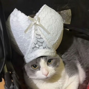 我没有理想 我整天幻想 我每天大梦一场