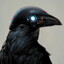 BionicCrow