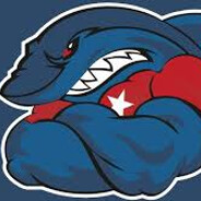 wisłasharks_69 skins.army