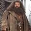 HAGRID