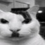 Adolf Kitler