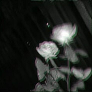 cin - steam id 76561197964727719
