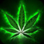 KUSH!™