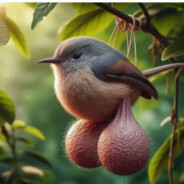 斯基比迪西格玛