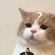 哈柒咪快过来给我RUA