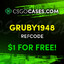 Kaczor &quot;cs2cases.pro SKINS