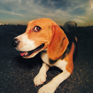 Flying Beagle