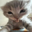 Felix