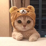 CatMe