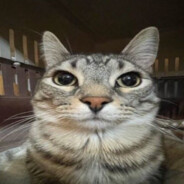 maciuzeek skins.army