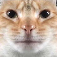 bor