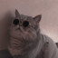 SirCat99