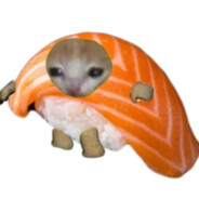 Sushi Kitty