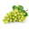 Vinograd