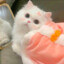 Kirby