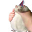 K1LLERMONKEY099