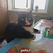 =NURKOV JUNIOR= - steam id 76561198120883040