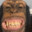 1evilmonkie's Avatar