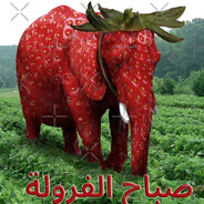 rlk sapleud meud