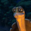 Meister Oogway