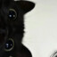le me see