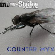 МуXa