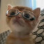 小猫放屁导致全球变暖