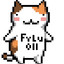 Fylu02