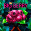 Big Berry