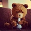 Mr. Kush Bear