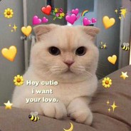 您可真是小崽种