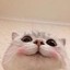 鱼饼