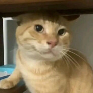 HJH