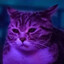 vantheman
