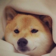 我在南极种西瓜