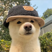 幸福炒蛋会发财