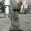 Moai