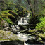 ferne_26