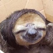 Gitzerai - steam id 76561197970994405