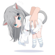 213484471 avatar