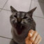 炎 michitsuke
