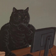 Чёрный котёнок