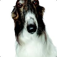 Borzoj
